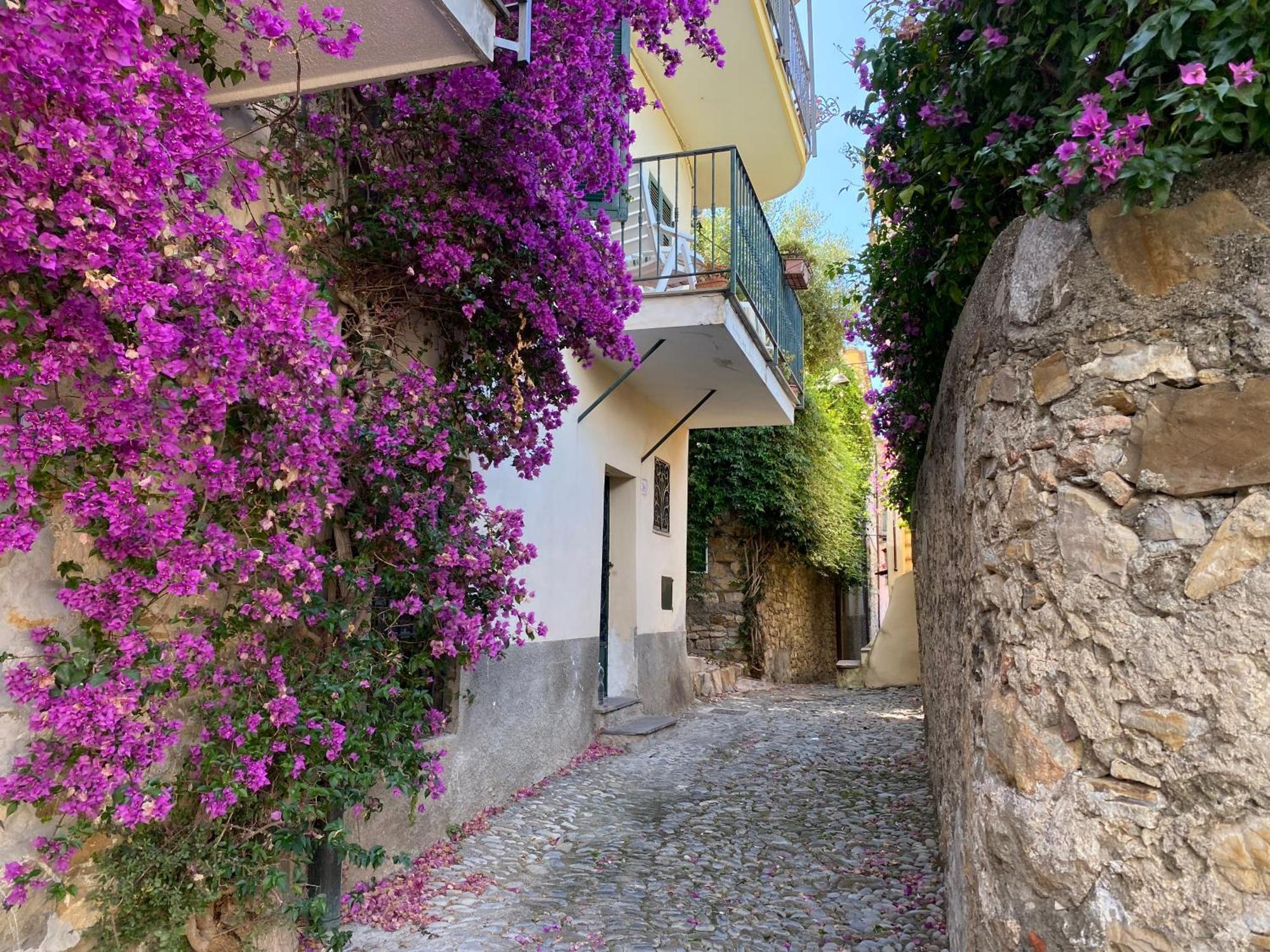 La Finestra Sul Borgo Bed and Breakfast Cervo Εξωτερικό φωτογραφία